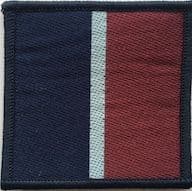 RAF Tactical Recognition Flash TRF BRAND NEW